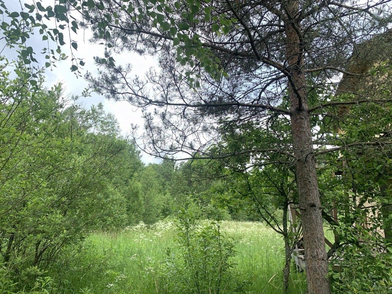 Продажа земли Вырица городской поселок, проспект Мельничный