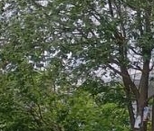 Продать Квартиры вторичка Юбилейный мкр  38А 