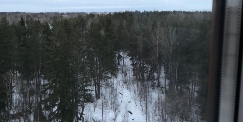 1-комн квартира Ломоносов г., Михайловская ул. ,  д. 51,  к. 3