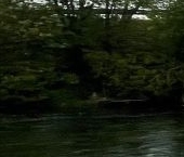 Продать Земельные участки, земля д. Шаглино, улица Прибрежная, 23А   