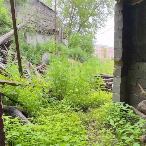 Торговое помещение Павловский Посад г, Покровская ул,  д. 6