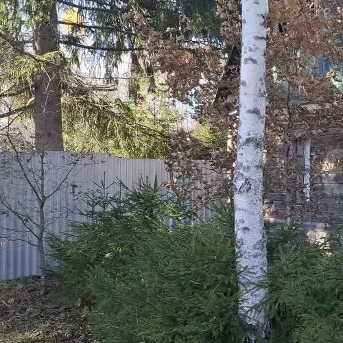 Коттедж/дом Посадников остров садоводческий массив, Меридиан СНТ, 6-я линия