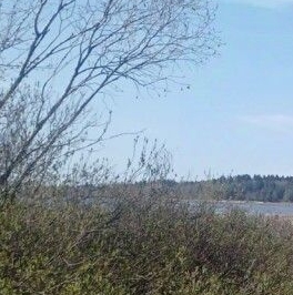 Продажа земли Сестрорецк, улица Старая, 7