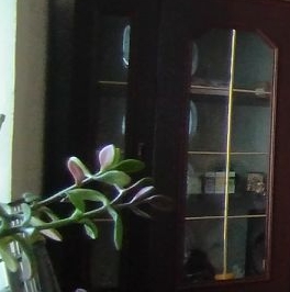 Продажа комнаты улица Лестева, 16