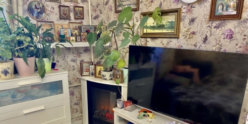 Комната Сестрорецкая ул. ,  д. 8