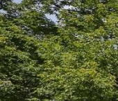 Продать Квартиры вторичка Казарменный переулок, 3   