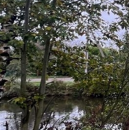 Продажа дома Торики СНТ