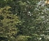 Продать Квартиры вторичка Ломоносов, Дворцовый проспект, 14/9   