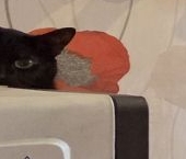 Продать Квартиры вторичка Суздальский проспект, 3К2   