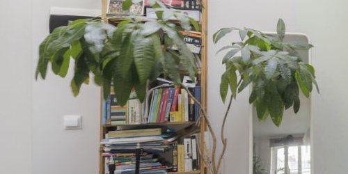 Студия улица Восстания, 40