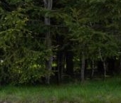 Продать Земельные участки, земля Солнечный берег кп, 118   