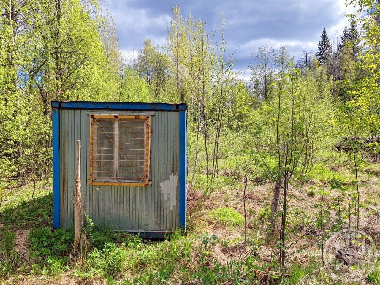 Продажа земли пос. Горьковское, улица Ольховая