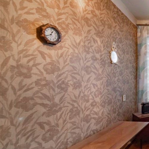 4-комн квартира Петергоф, Разводная улица, 4А