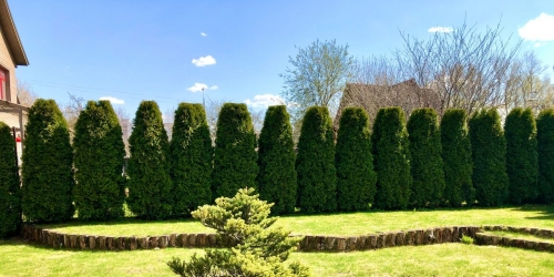 Коттедж/дом Плотинная улица,  д. 18