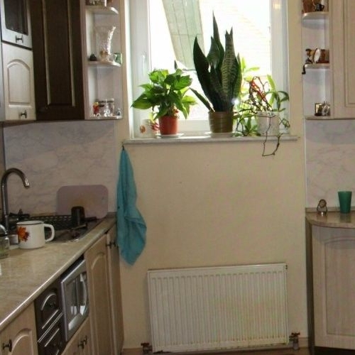 Коттедж/дом д. Пеники, улица Центральная, 2