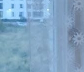 Продать Квартиры вторичка Петергоф, Ропшинское шоссе, 11   