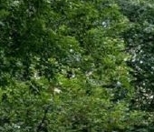 Продать Квартиры вторичка улица Плеханова, 28К4   