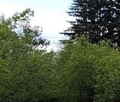 Продать Дачи, коттеджи, загородные дома д. Лосево, улица Новая   