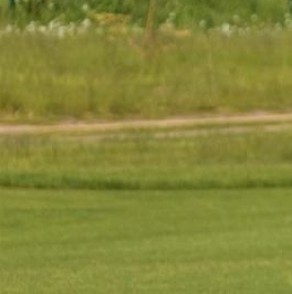 Продажа земли Земляничные поляны кп, д. Кукушкино