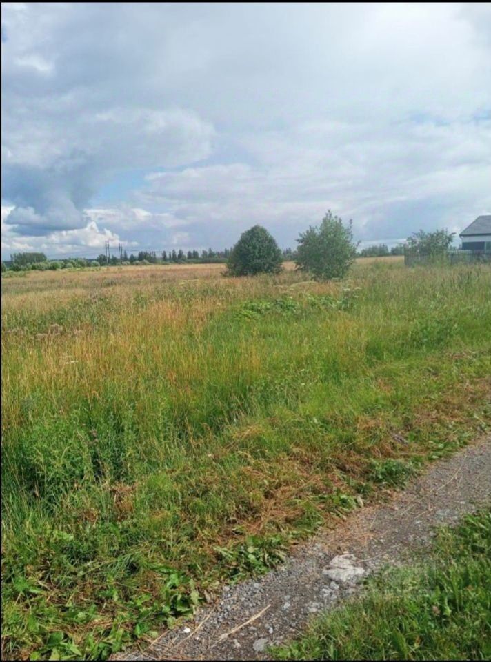 Продажа земли Малое Карлино СНТ, улица Лесная, 341