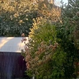 Продажа земли Дружба садовое товарищество, 452