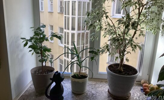 Продажа 1-комн квартиры на вторичном рынке Советская 3-я ул,  д. 21/4