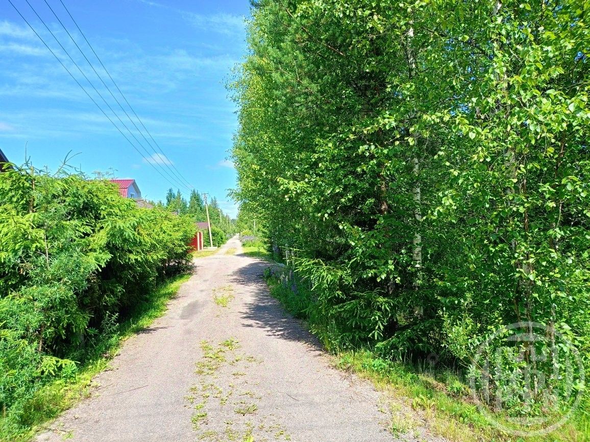 Продажа земли Луговое СНТ, улица Цветочная