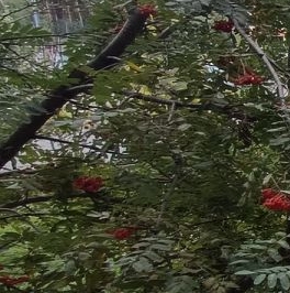 Продажа 1-комн квартиры на вторичном рынке улица Шолохова, 6 Продажа 1-комн квартиры на вторичном рынке улица Шолохова, 6