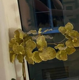 Аренда комнаты Съезжинская улица, 24В