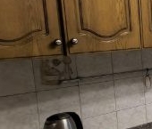 Сдать в аренду Квартиры вторичка улица Федора Полетаева, 21К3   