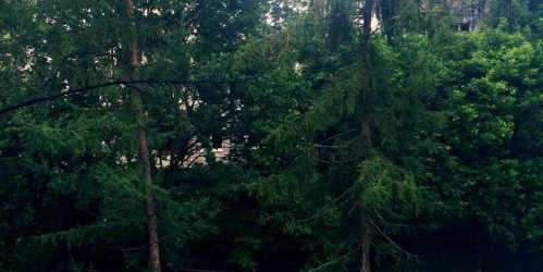 Комната Тосно г, Боярова ул ,  д. 17