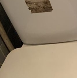 Аренда 1-комн квартиры на вторичном рынке Пушкин, бульвар Алексея Толстого, 3 Аренда 1-комн квартиры на вторичном рынке Пушкин, бульвар Алексея Толстого, 3