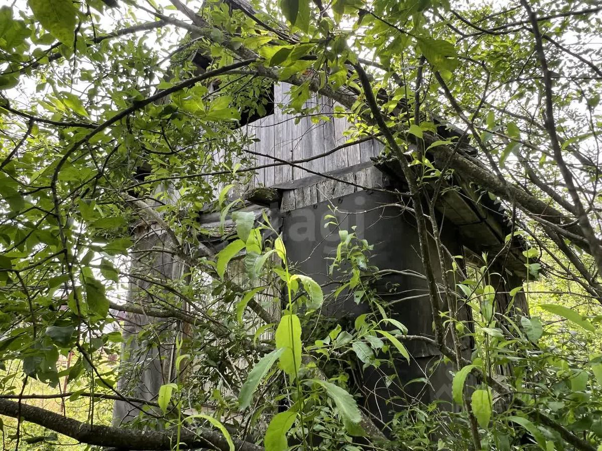 Продажа дома Посадников остров садоводческий массив, Дружба-3 СНТ, 23-я линия