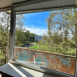 Продажа 1-комн квартиры на вторичном рынке Кингисеппский район, Восточная улица,  д. 7