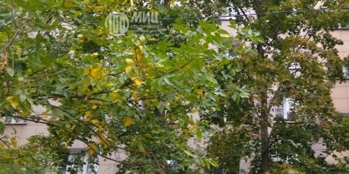 3-комн квартира улица Молостовых, 14К1