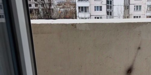 1-комн квартира улица Чистова, 10К1