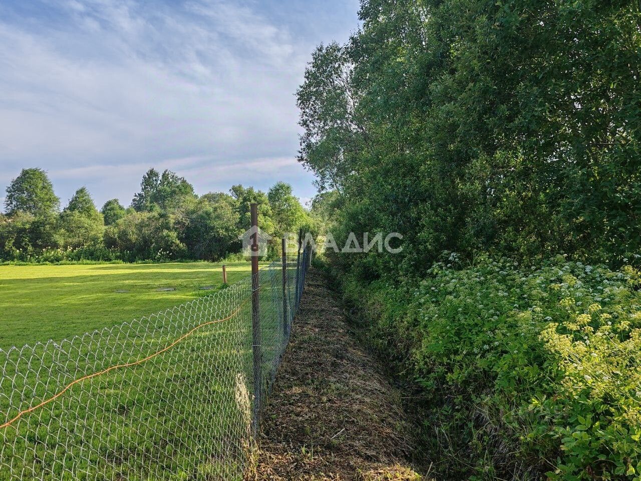 Продажа земли пос. Пушное, проезд Лесные Покосы