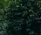 Продать Квартиры вторичка улица 50 лет Октября, 2к3   