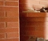 Продать Дачи, коттеджи, загородные дома улица Речная, 26   