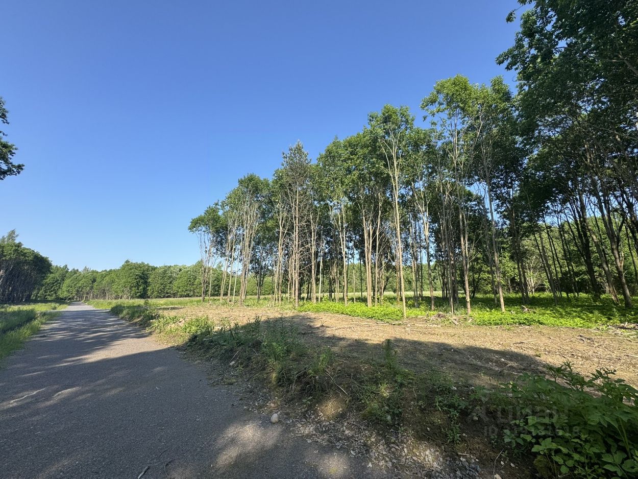 Продажа земли Коробицыно экопарк