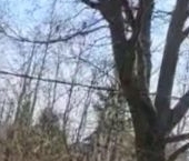 Продать Земельные участки, земля Восход садоводческий массив, Восход-6 СНТ   