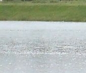 Продать Земельные участки, земля д. Низино, улица Конная   