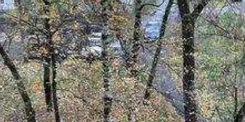 1-комн квартира улица Седова, 10к2