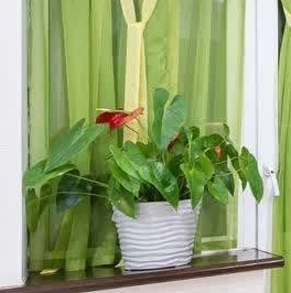 Продажа 2-комн квартиры на вторичном рынке пос. Янино-1, улица Голландская, 8