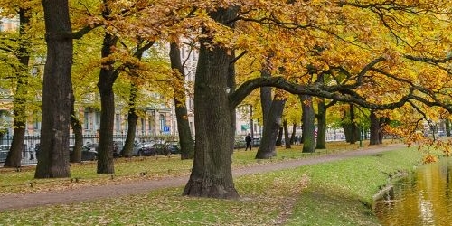 3-комн квартира Таврическая улица, 35