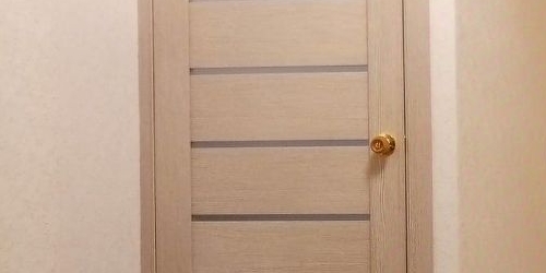 1-комн квартира пос. Шушары, улица Вишерская, 24