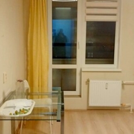 Продажа 1-комн квартиры на вторичном рынке Заневское городское поселение, Ясная улица,  д. 11 к1