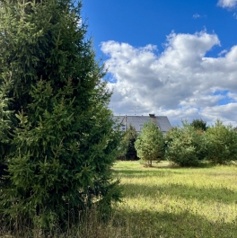 Продажа земли Пушкинский городской округ, Каштановая улица, д. 21 Продажа земли Пушкинский городской округ, Каштановая улица, д. 21