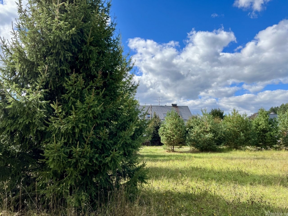 Продажа земли Пушкинский городской округ, Каштановая улица,  д. 21