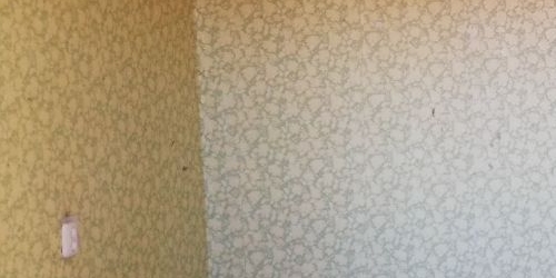 1-комн квартира Дунайский проспект, 48К1